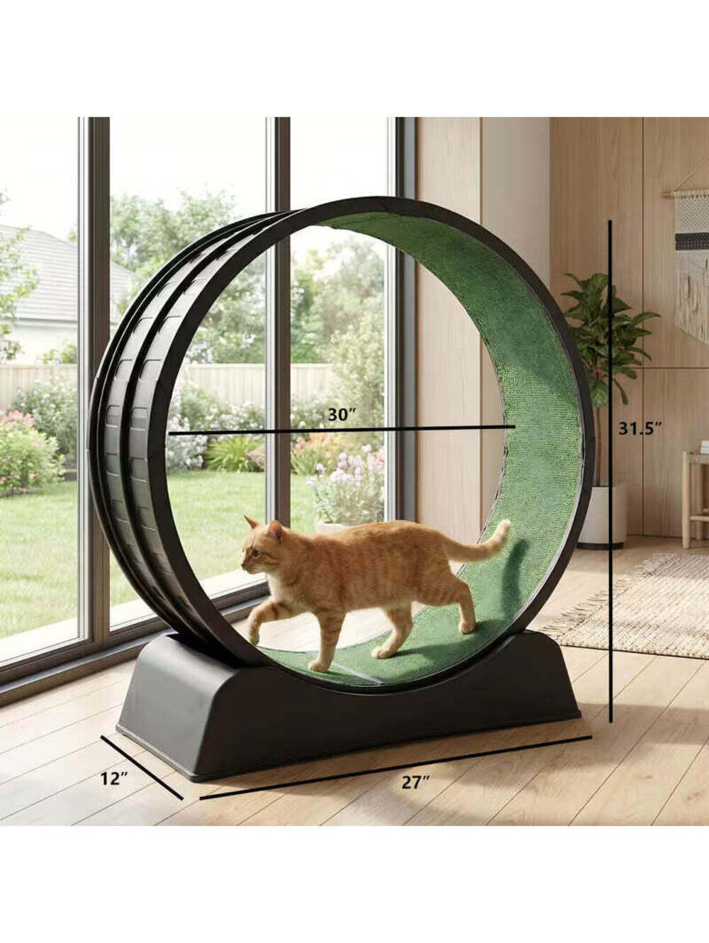 Indoor Cat Exercise Wheel - 31.5 Inches - Quiet, Black